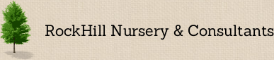 RockHill Nursary & Consultants